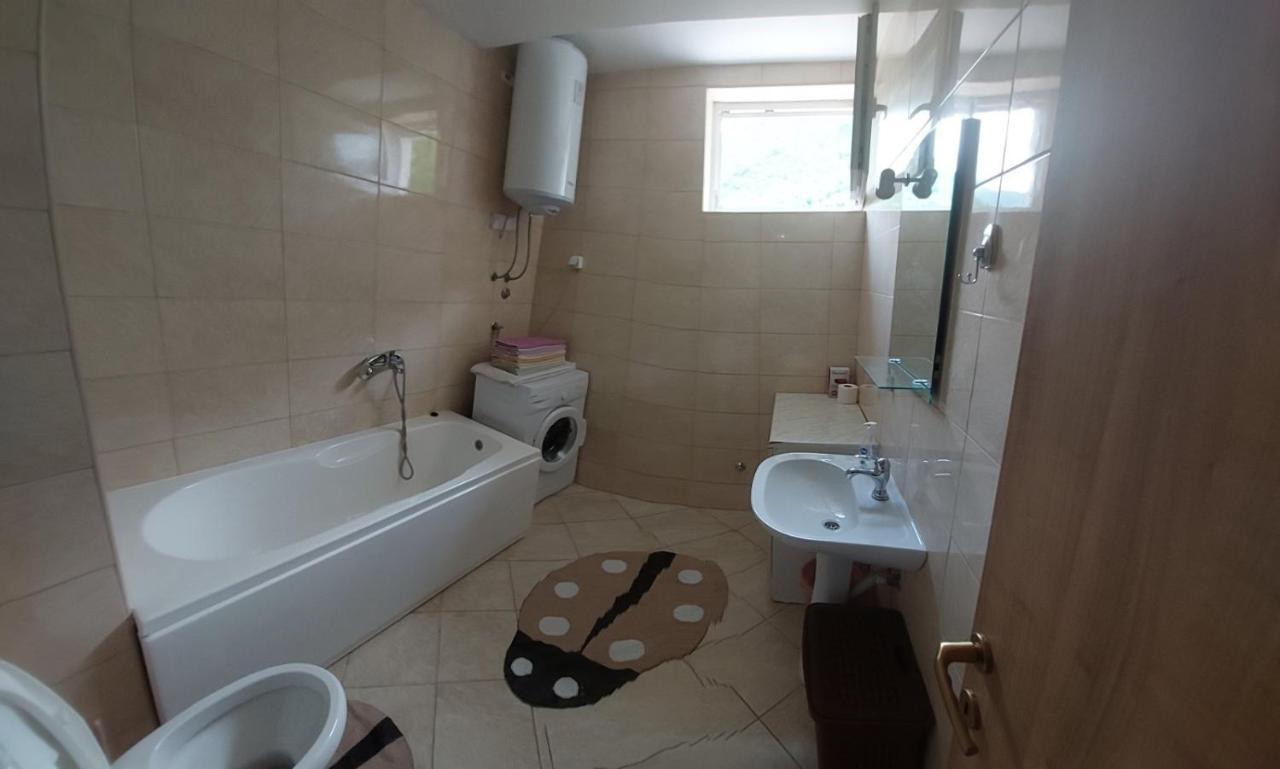 Apartman Bujišić Apartment Pluzine Bagian luar foto