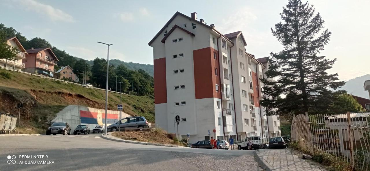 Apartman Bujišić Apartment Pluzine Bagian luar foto