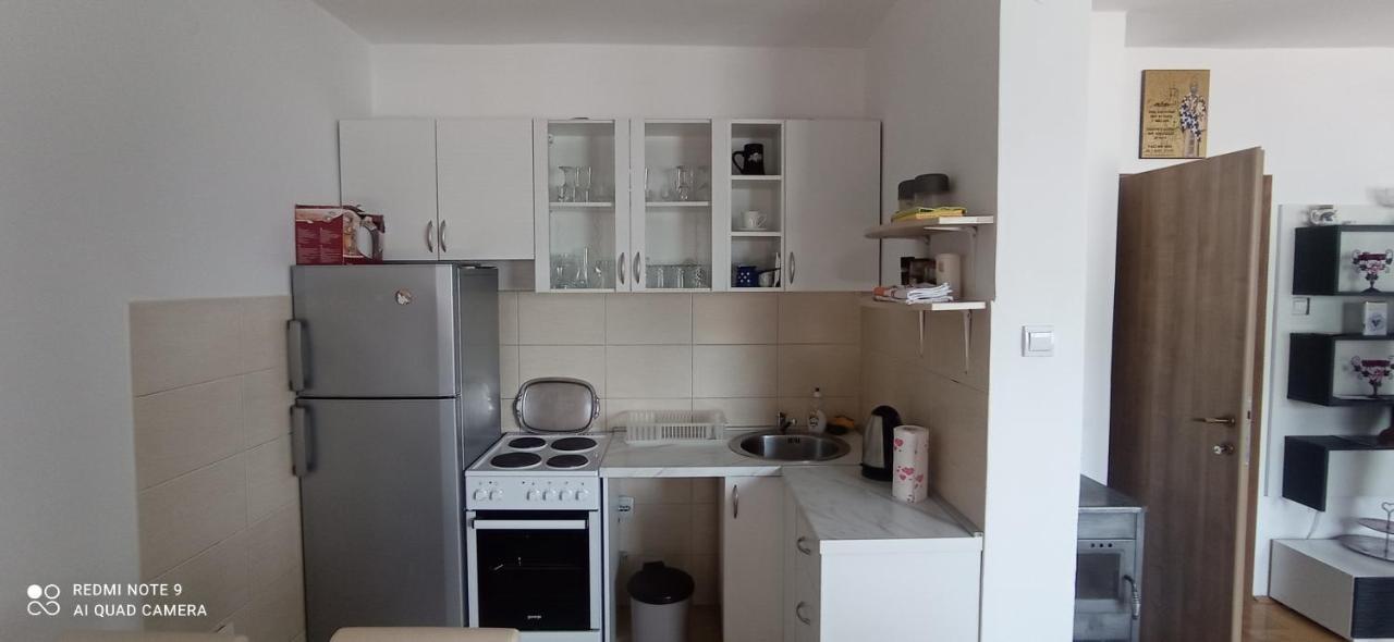 Apartman Bujišić Apartment Pluzine Bagian luar foto