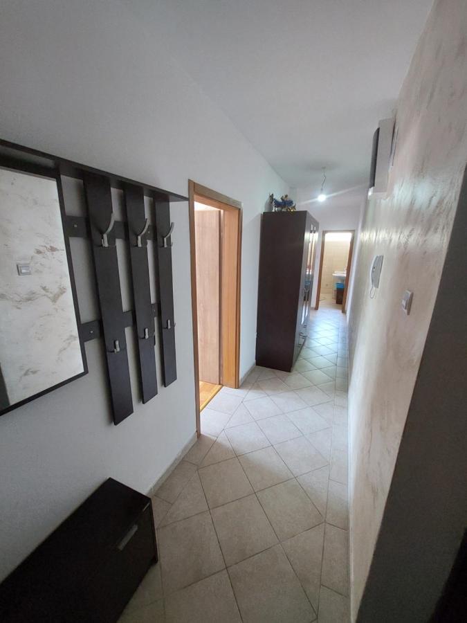 Apartman Bujišić Apartment Pluzine Bagian luar foto