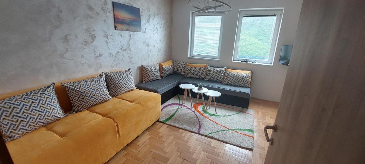 Apartman Bujišić Apartment Pluzine Bagian luar foto