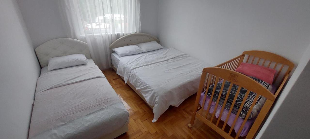 Apartman Bujišić Apartment Pluzine Bagian luar foto