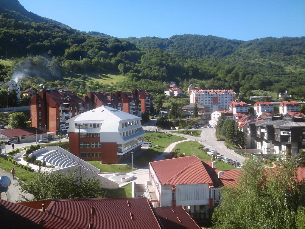 Apartman Bujišić Apartment Pluzine Bagian luar foto