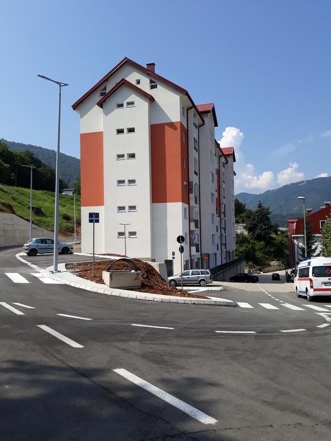 Apartman Bujišić Apartment Pluzine Bagian luar foto